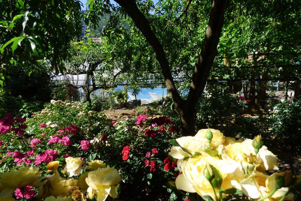 Hotel Du Lion D'Or Антрег-сюр-Трюйер Экстерьер фото